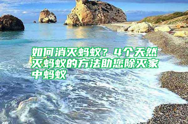 如何消滅螞蟻？4個天然滅螞蟻的方法助您除滅家中螞蟻