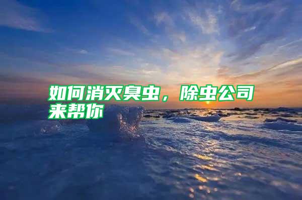 如何消滅臭蟲，除蟲公司來幫你