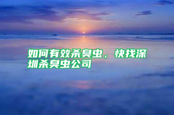如何有效殺臭蟲，快找深圳殺臭蟲公司