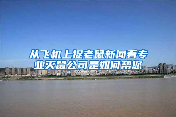 從飛機上捉老鼠新聞看專業(yè)滅鼠公司是如何幫您
