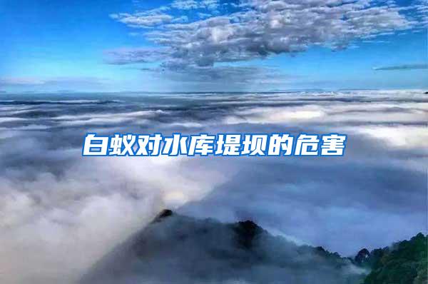 白蟻對(duì)水庫堤壩的危害