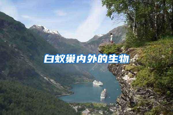 白蟻巢內外的生物