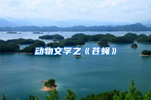 動(dòng)物文學(xué)之《蒼蠅》