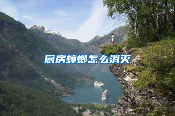 廚房蟑螂怎么消滅