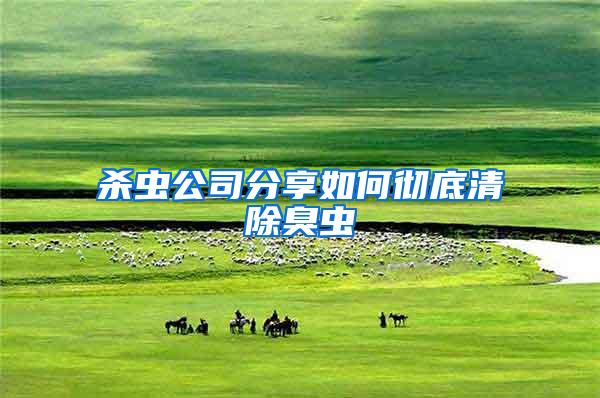 殺蟲公司分享如何徹底清除臭蟲