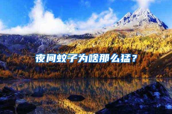 夜間蚊子為啥那么猛？