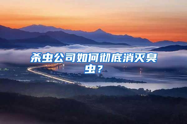 殺蟲公司如何徹底消滅臭蟲？