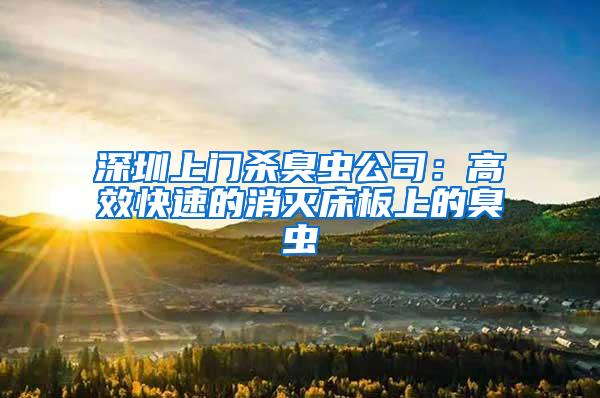 深圳上門殺臭蟲公司：高效快速的消滅床板上的臭蟲