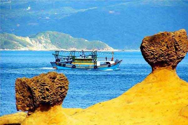 深圳專業滅臭蟲公司上門殺臭蟲服務多少錢，怎么收費的？