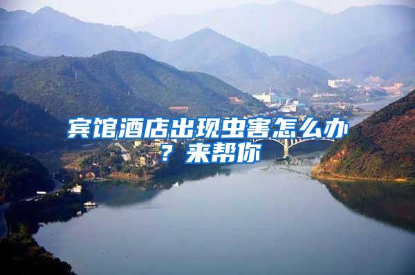 賓館酒店出現蟲害怎么辦？來幫你