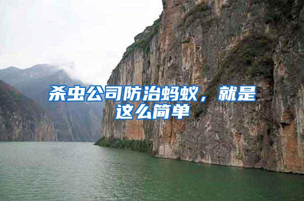 殺蟲(chóng)公司防治螞蟻，就是這么簡(jiǎn)單