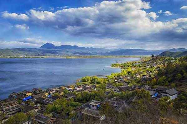 寨卡病毒蔓延全球或成真，家里如何做到?jīng)]蚊子