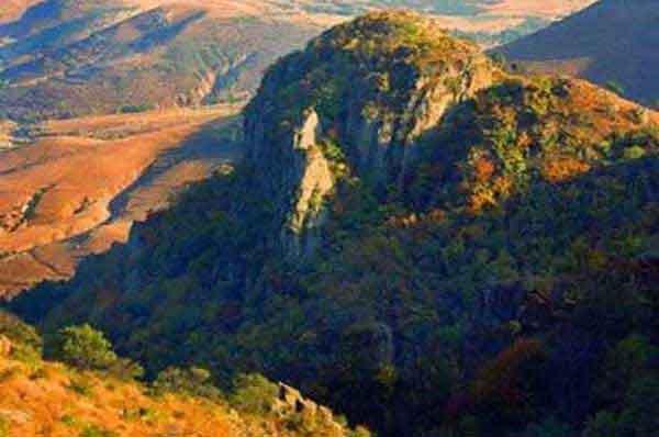 深圳專業(yè)殺臭蟲服務(wù)公司滅臭蟲的收費標準-宿舍殺臭蟲多少錢一間