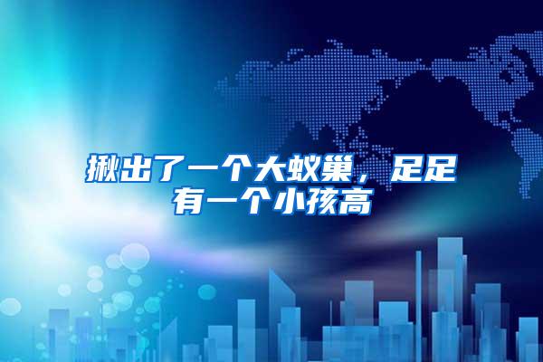 揪出了一個大蟻巢，足足有一個小孩高