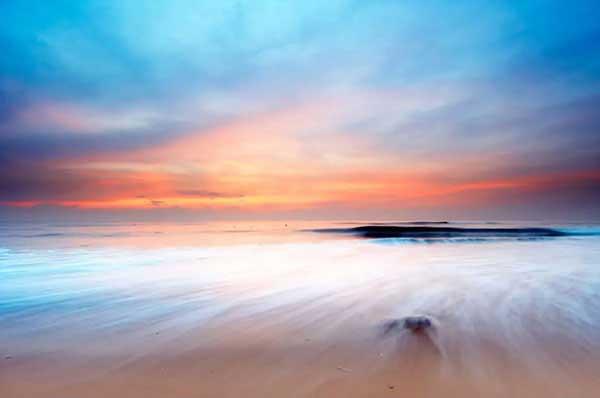 白蟻爆發 每天20戶居民家發現白蟻