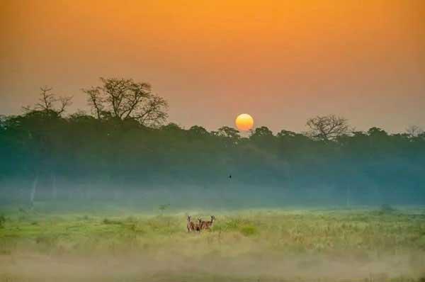 家里墻面上開口子 口子里就住了一群蚊子