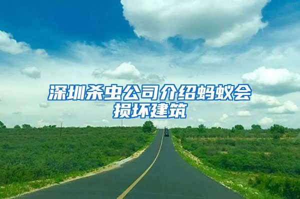 深圳殺蟲(chóng)公司介紹螞蟻會(huì)損壞建筑