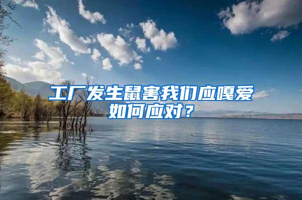 工廠發(fā)生鼠害我們應(yīng)嘎愛如何應(yīng)對？