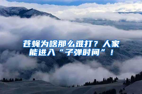 蒼蠅為啥那么難打？人家能進(jìn)入“子彈時(shí)間”！