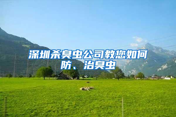 深圳殺臭蟲公司教您如何防、治臭蟲