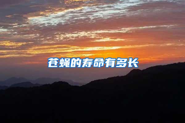 蒼蠅的壽命有多長(zhǎng)