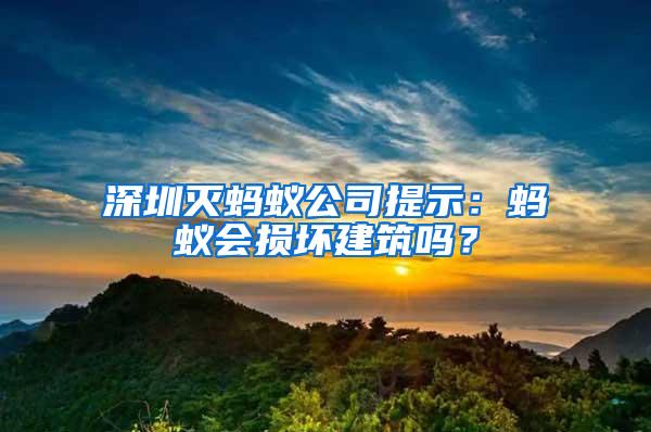 深圳滅螞蟻公司提示：螞蟻會損壞建筑嗎？