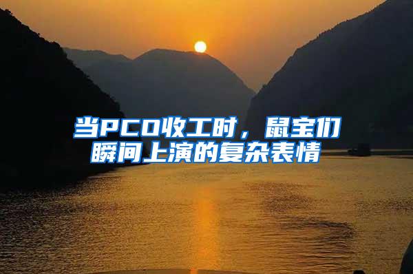 當PCO收工時，鼠寶們瞬間上演的復雜表情