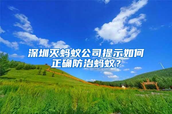深圳滅螞蟻公司提示如何正確防治螞蟻？