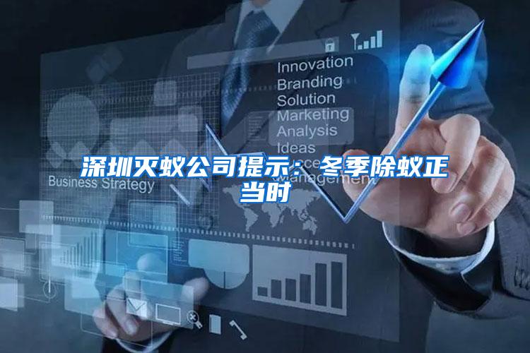 深圳滅蟻公司提示：冬季除蟻正當時