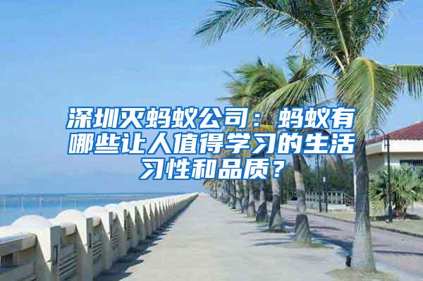 深圳滅螞蟻公司：螞蟻有哪些讓人值得學習的生活習性和品質？