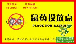 老鼠入室如何消滅？滅鼠公司專業(yè)分析