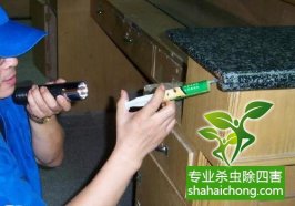 【深圳滅蟑螂公司】全國除四害標(biāo)準(zhǔn)-怎么樣如何消滅蟑螂
